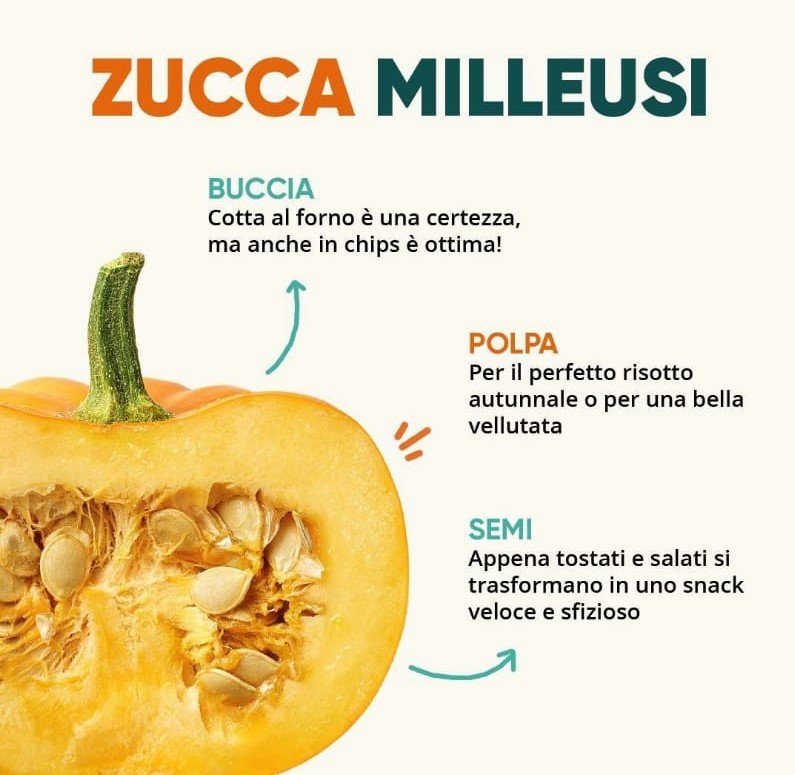 Post Instagram di Too Good To Go "Zucca Milleusi"